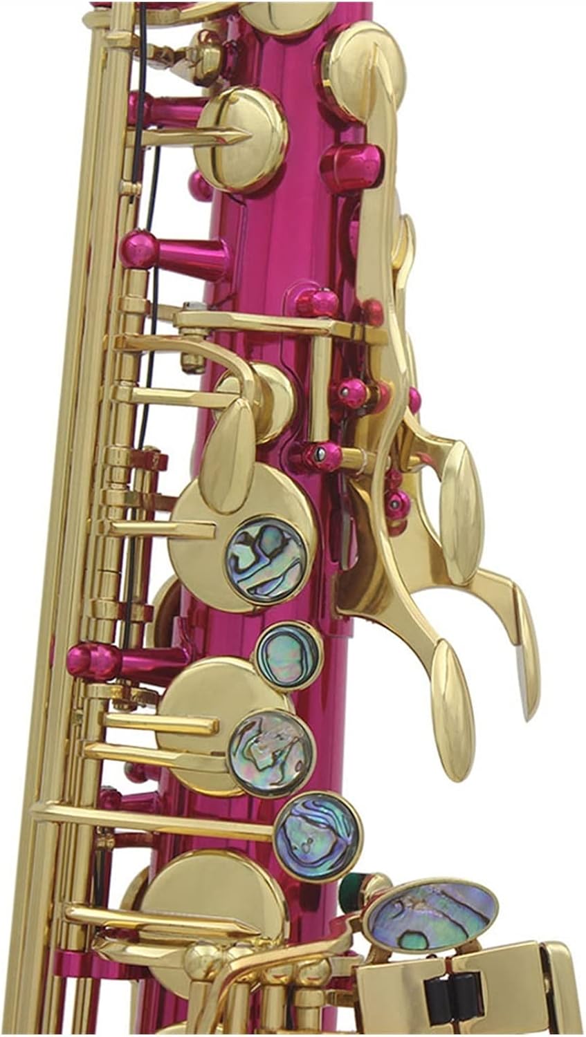 EB Alto Saxophone Woodwind Instrument Abalone Shell Brass Sax with Musical Instrument Parts Beginner Saxophone