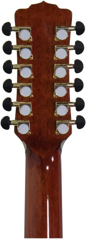 Luna Vista Eagle 12-String Cutaway Acoustic Electric Guitar with Case