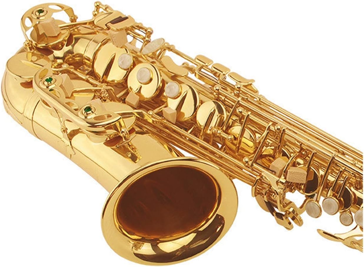 Saxophone Straight Beginner E Flat Alto Saxophone/Wind Instrument