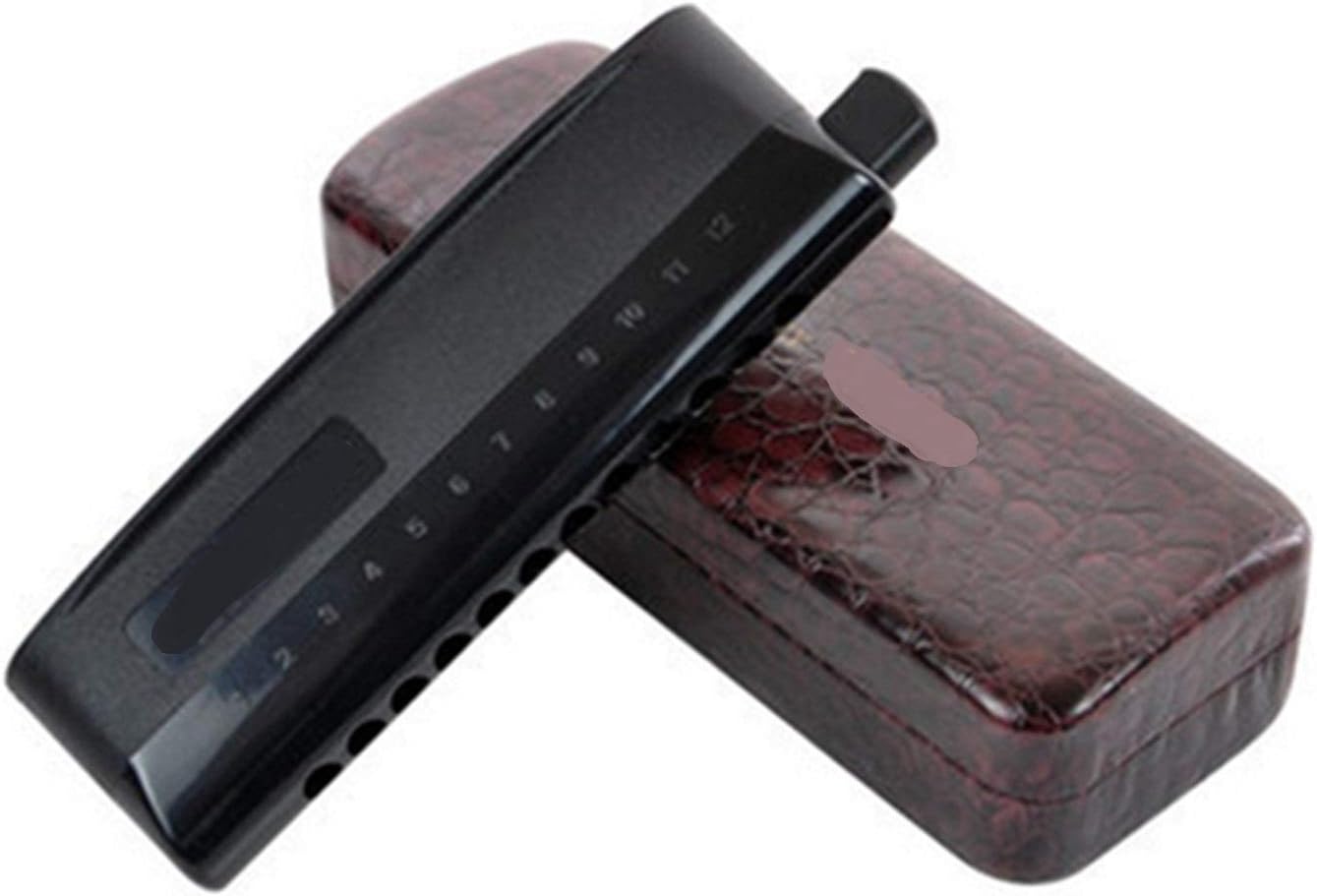 Harmonica 12 Hole Chromatic Harmonica Professional Musical Instrument Mouth Organ Semi-Matte ABS Cover