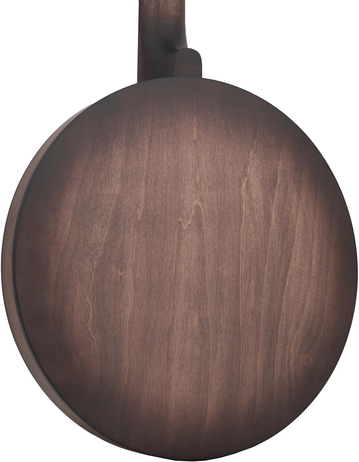 Gold Tone CC-BG: Cripple Creek Banjo Bluegrass Starter Pack: Includes Gig Bag, Banjo Primer Instructional Videos, Strap, Clip-On Tuner