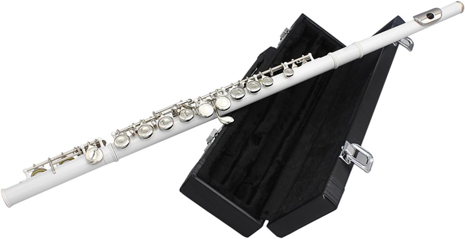 Flute 16 Closed Open Holes C Key Flute with Case Clothfor Student Beginners Woodwind Instrument Flutes Musical Instruments