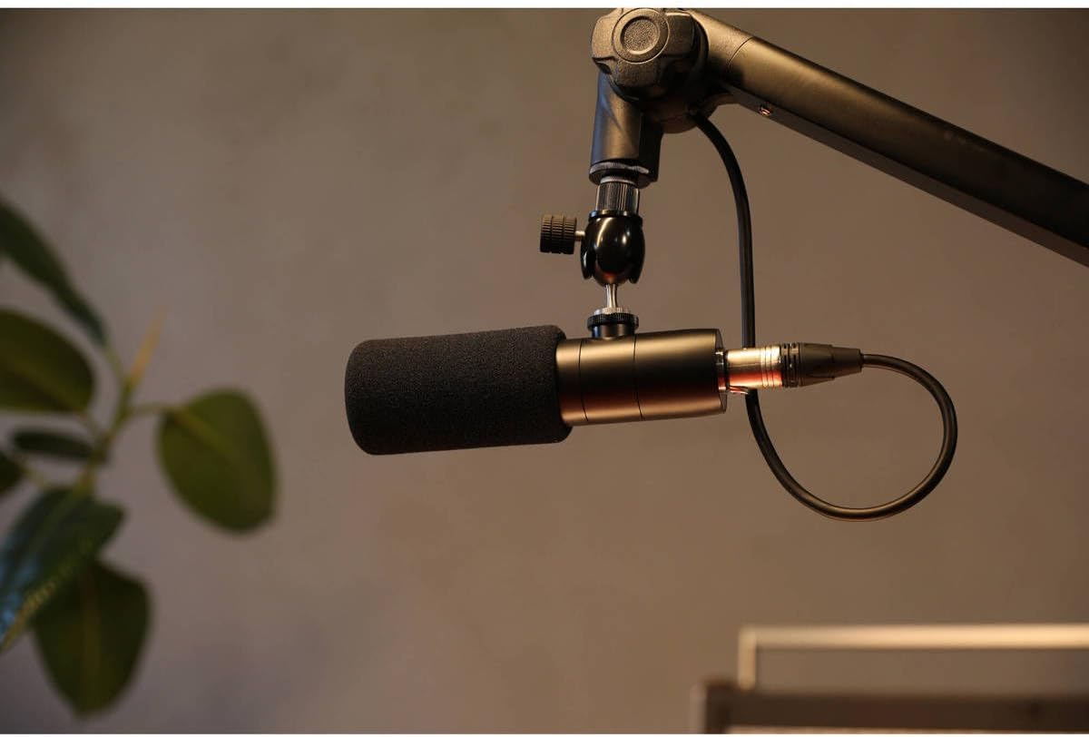 Earthworks ETHOS Condenser Broadcast Microphone - Black