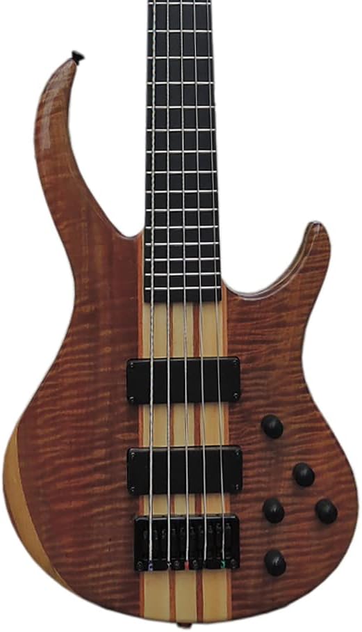 IYV IBSY-500 Neck-through Sycamore top Multi-ply 5-string Bass