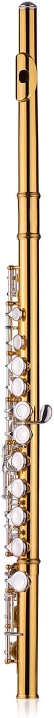 Flute Kit Closed Hole C Flute Professional Cupronickel Gold- Plated Tube 16 Silver- Plated Keys Wind Instrument Intermediate Flute