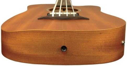 Gold Tone Left Hand Micro Fretless Bass Guitar w/Gig Bag