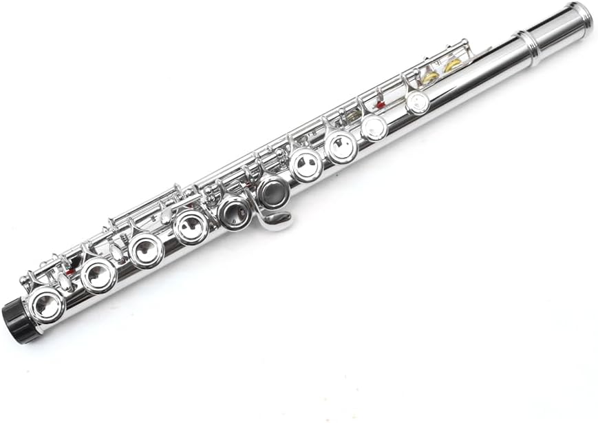 Vetimobato 17 Keys C Flute Closed Hole for Beginners, Students, Adults and Professionals– Nickel Siver Flute with Hard Case, Cleaning Kit, Tuning Rod – Easy to Play