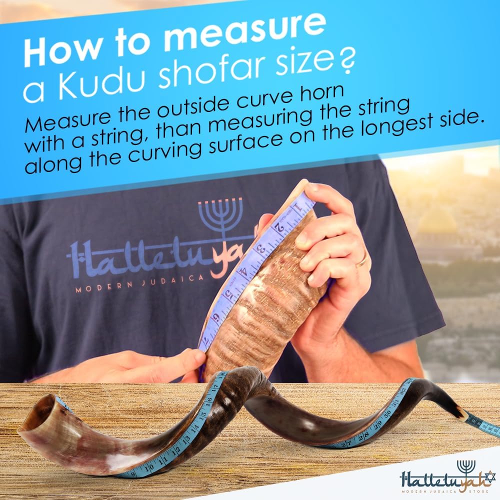 HalleluYAH Original Kosher Half-Polished Kudu Shofar From ISRAEL