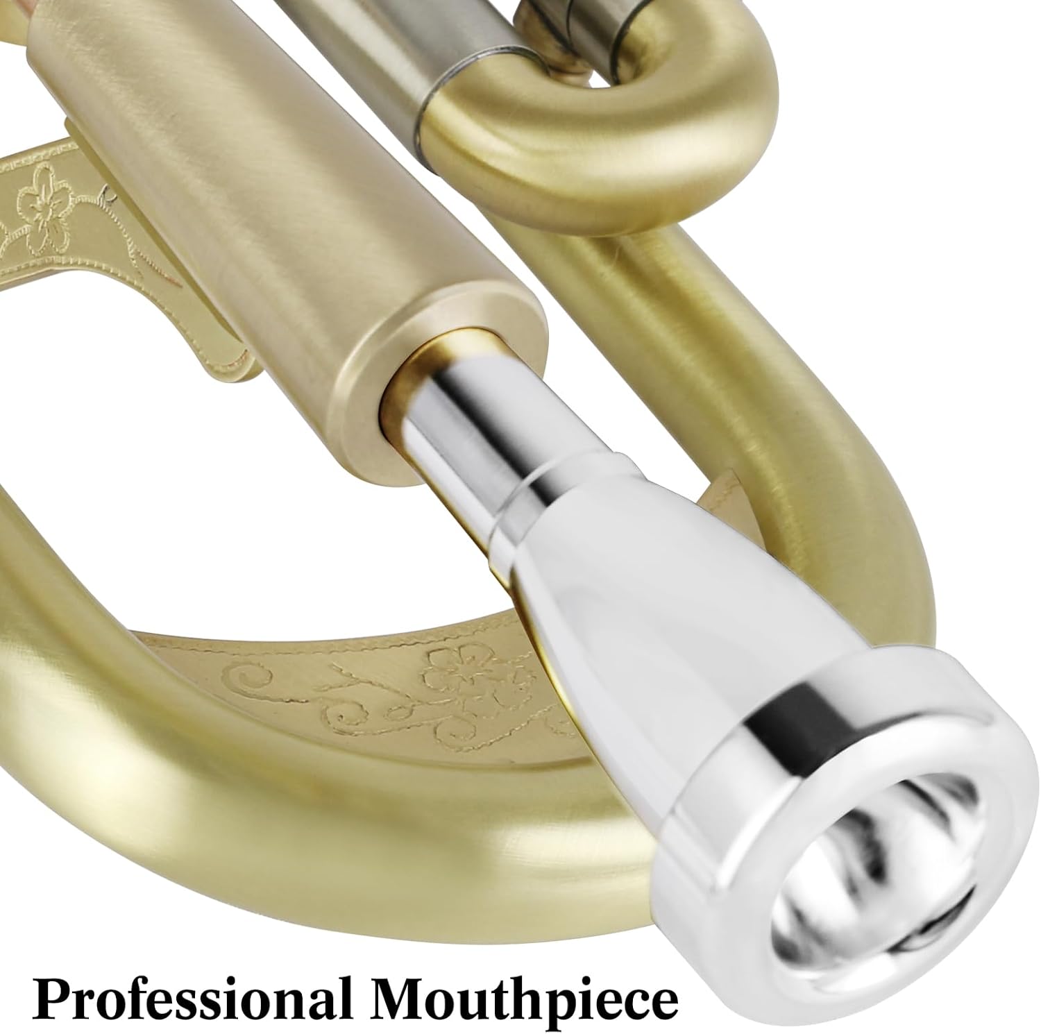 ROWELL Trumpet Standard Bb Trumpet Set Professional Trumpets Brass Trumpets for Beginners with Deluxe Hand Case,Gloves,7C Mouthpiece and Clean Kit (Antique Finished)