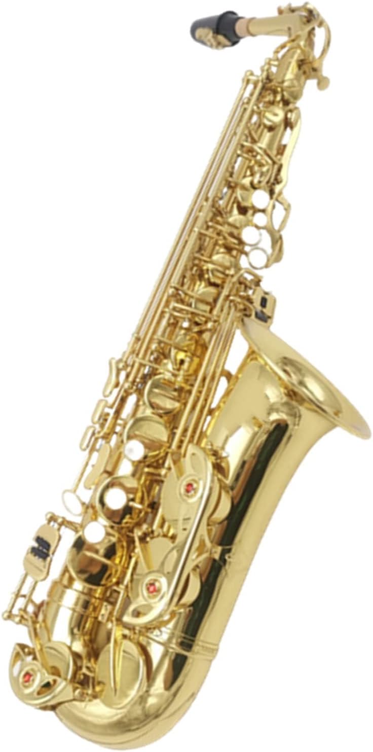 EB E-Flat Alto Saxophone Sax Shell Key Carve Pattern Woodwind Instrument with Case Other Accessories