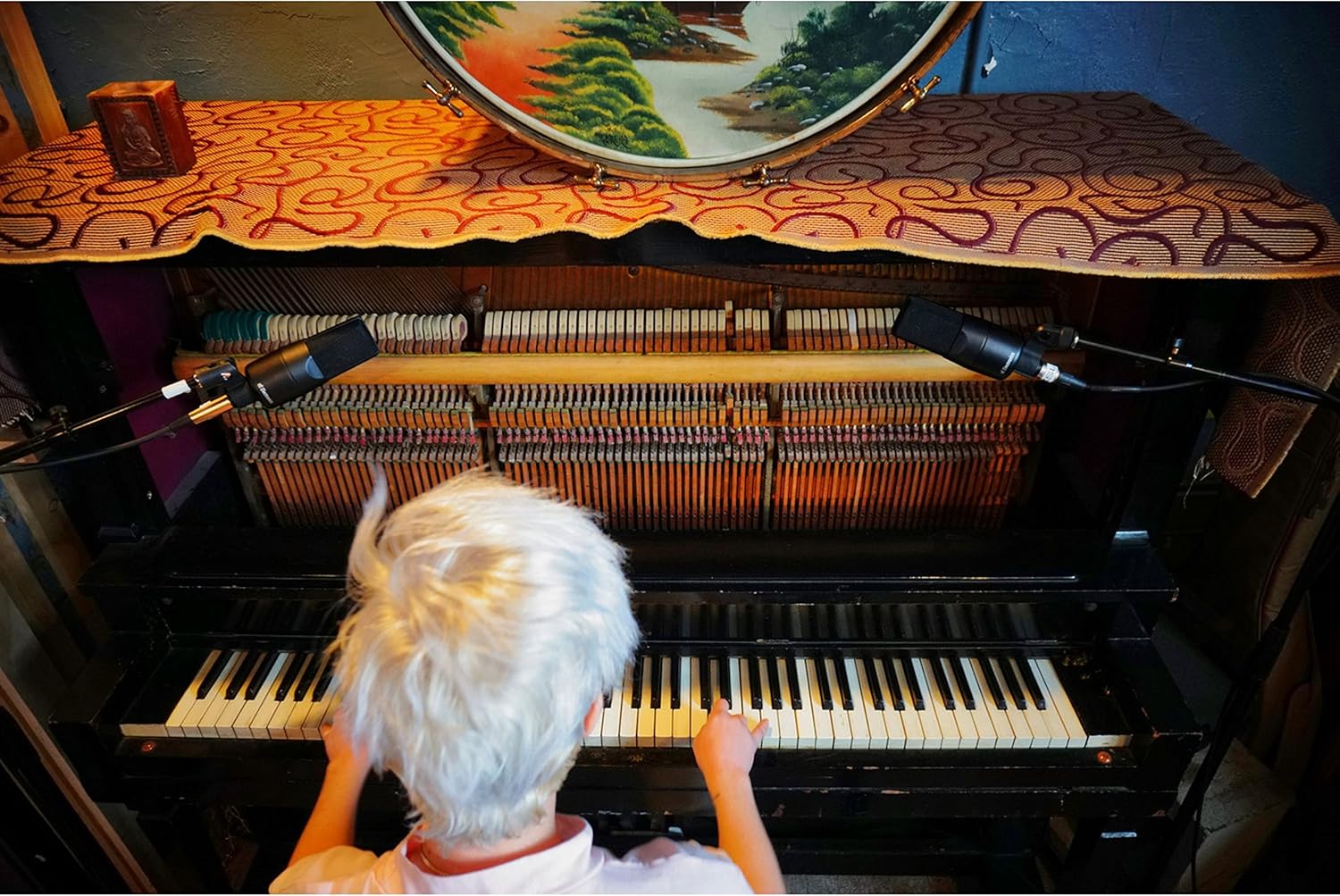 SE ELECTRONICS X1 S Large Diaphragm Condenser Microphone with 80/160 Hz Filters & -10/-20 dB Pads - XLR Condenser Mic for Singing, Vocals & Instruments - Professional Studio Microphone for Recording