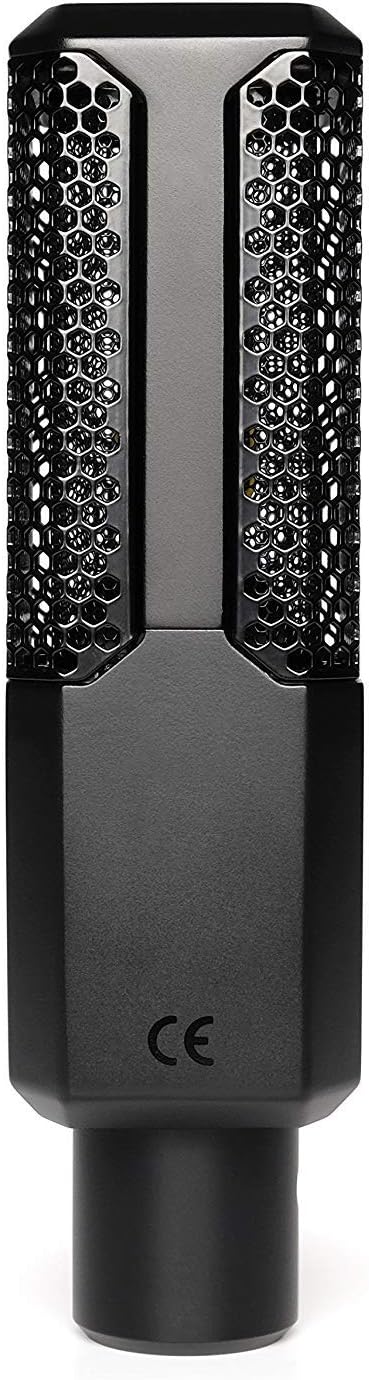 Lewitt LCT 441 Flex Condenser Microphone with Polsen HPC-A30 Studio Headphones & Pop Filter Bundle