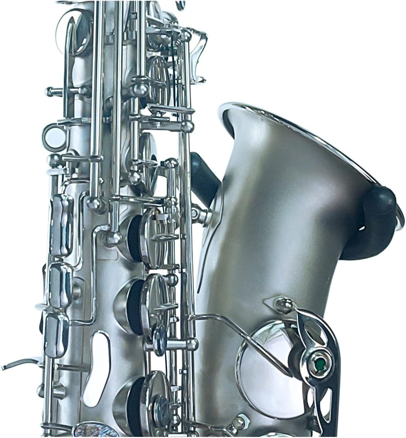 TSTS Alto Saxophone Nickel-Plated Wind Instrument Brass Sax Full Kit