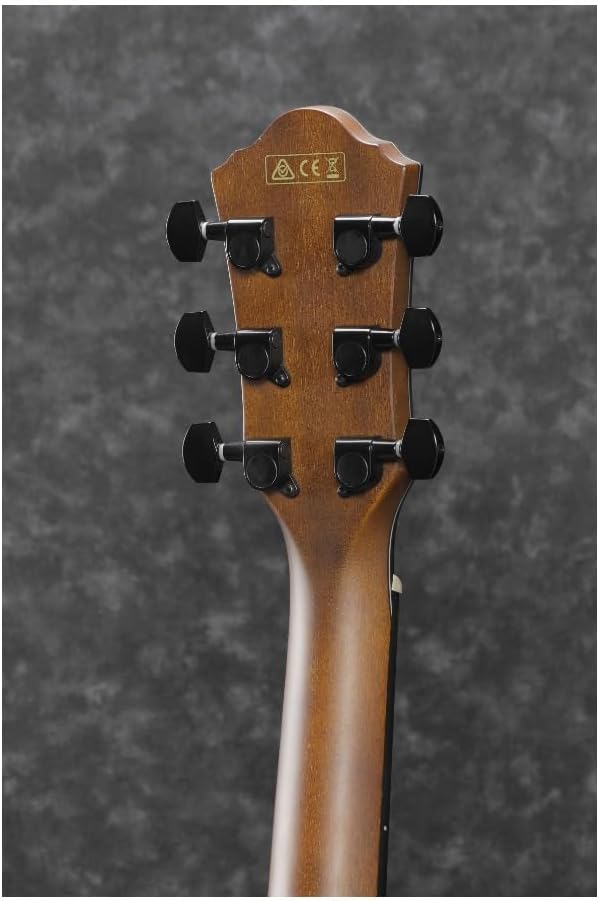 Ibanez AEWC32FM - Amber Sunset Fade