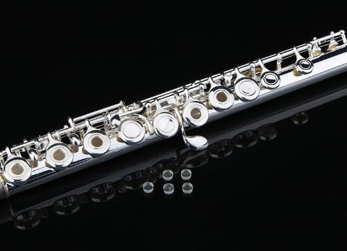 Glory Silver Plated Intermediate 16 Keys Open/Closed Hole C Flute