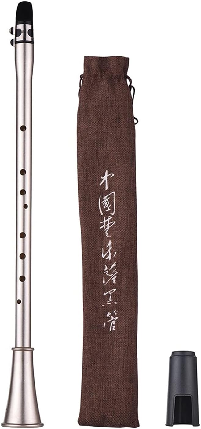 Sax Beginners Kit Bb Key Mini Clarinet Sax Compact Clarinet Saxophone ABS Material Musical Wind Instrument for Beginners with Carry Bag Wind Instrument (Color : Bb Key)