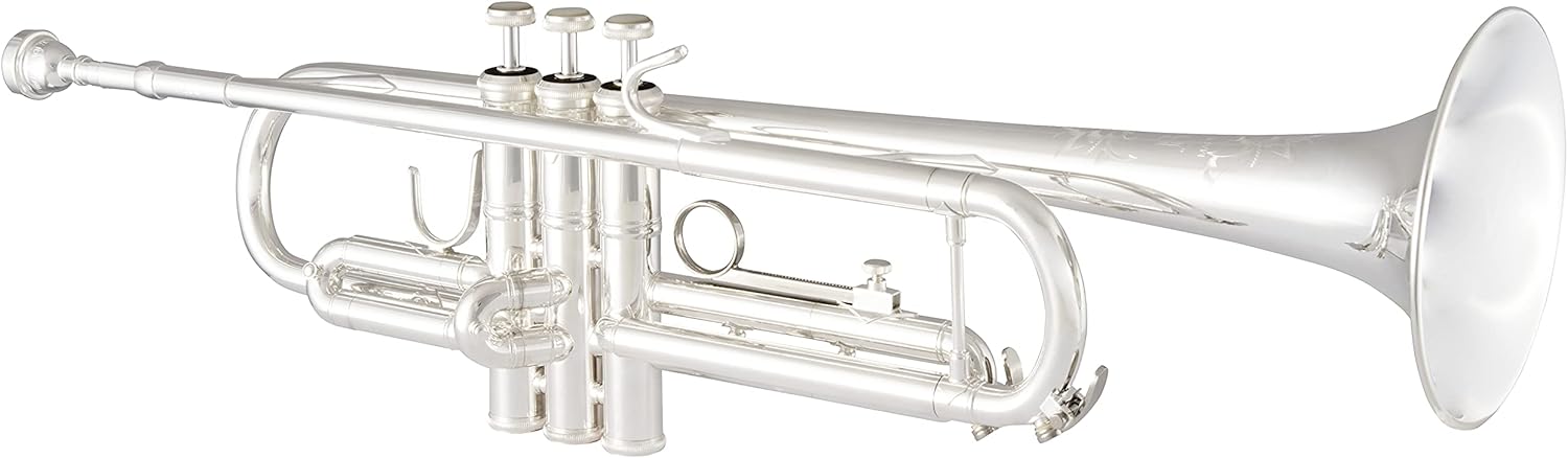 Bach Trombone, Silver (TR200S)