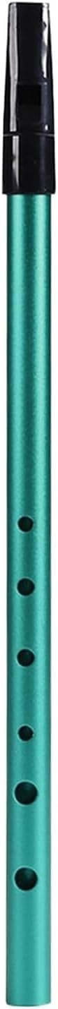 Irish Whistle C Key - 6-Hole Penny Whistle, Traditional Tin Wind Instrument for Beginners to Experts(Green)