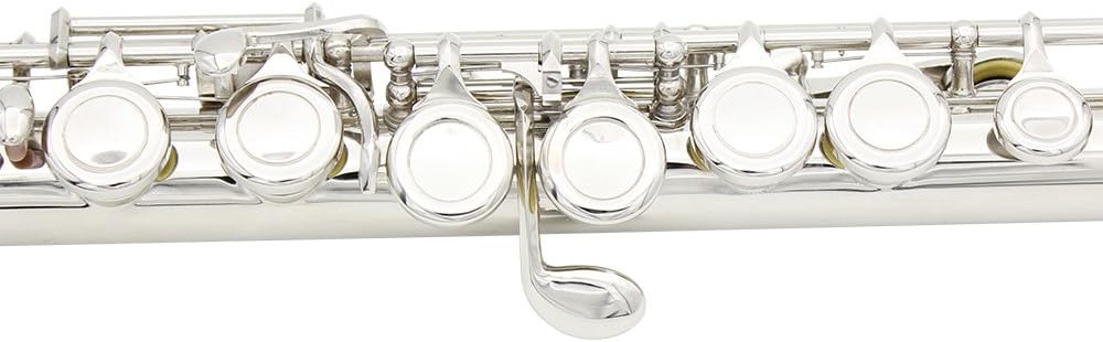 Western Concert Flute Cupronickel Nicke Plated 16 Holes C Key Woodwind Instrument with Cleaning Cloth Stick Gloves Mini Screwdriver Padded Case