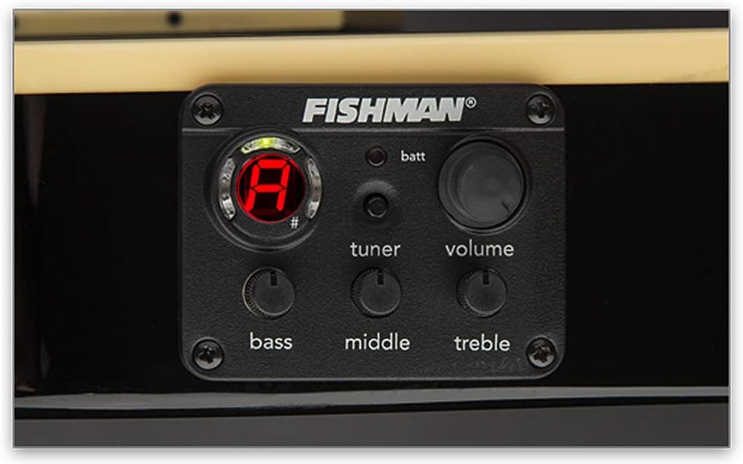 ESP LTD TL-6 Thin Line Acoustic Electric Guitar with Resonant Chamber, Black