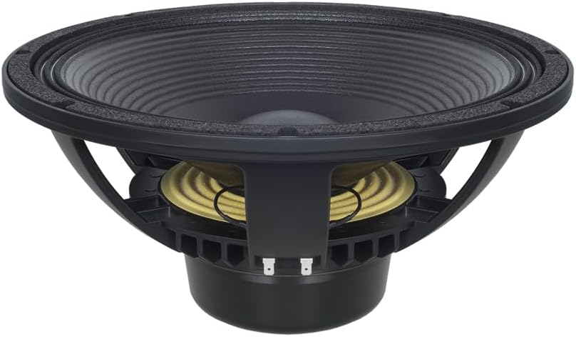 B & C Speakers 15NBX100-8 15 Inch Woofer LF Drivers 1000 Wrms 2000 Watts Peak 4-inch Voice Coil Pro Audio Component Speaker Driver for Motorcycle Car 8 Ohm