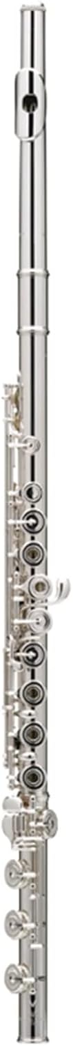 Flute Kit Western Concert Flute Silver Plating 17 Holes C Flutes Key Woodwind Instrument Mini Screwdriver Padded Intermediate Flute (Color : Silver)