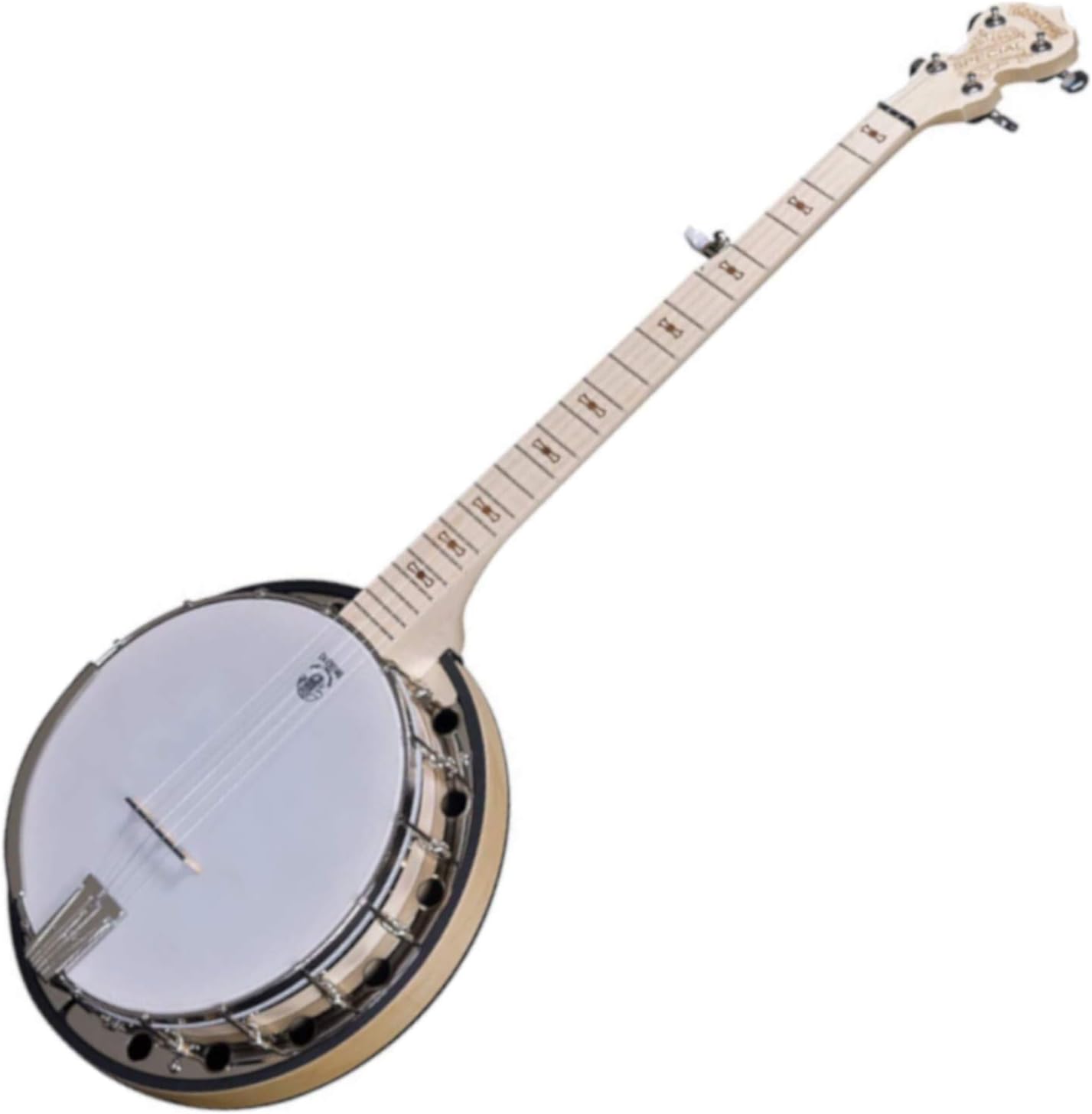 Deering GS Goodtime Special Banjo with Resonator