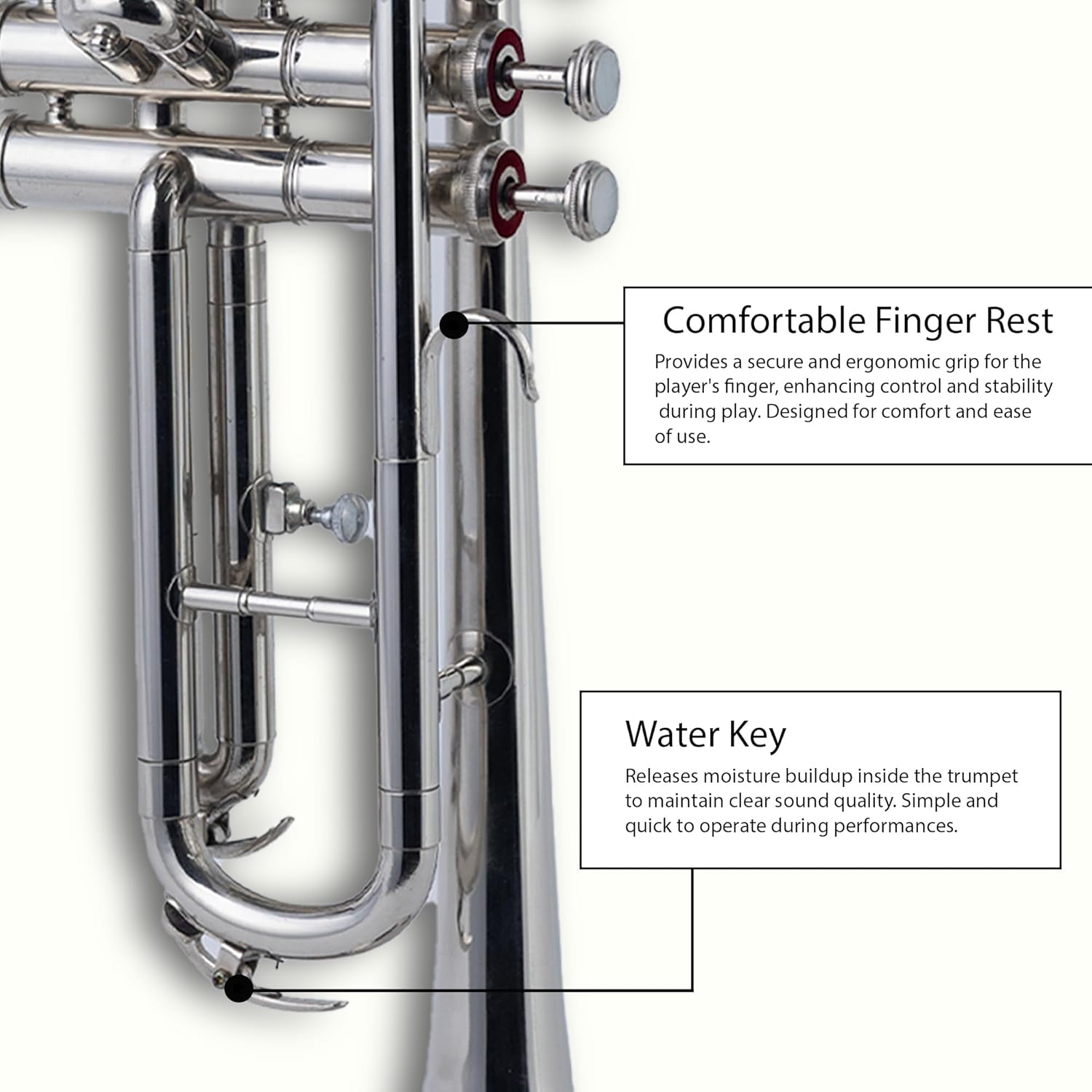 Queen Brass Bb Trumpet Chrome Finish Brass Body with 7C Mouthpiece and Hard Case for Beginners and Students Band Rehearsals School Performances Practice