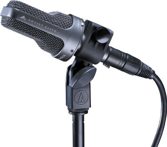 Audio-Technica AE3000 Cardioid Condenser Instrument Microphone