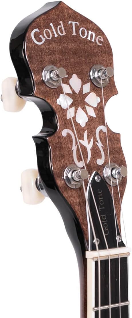 Gold Tone IT-250F Irish Tenor Banjo (Vintage Brown)