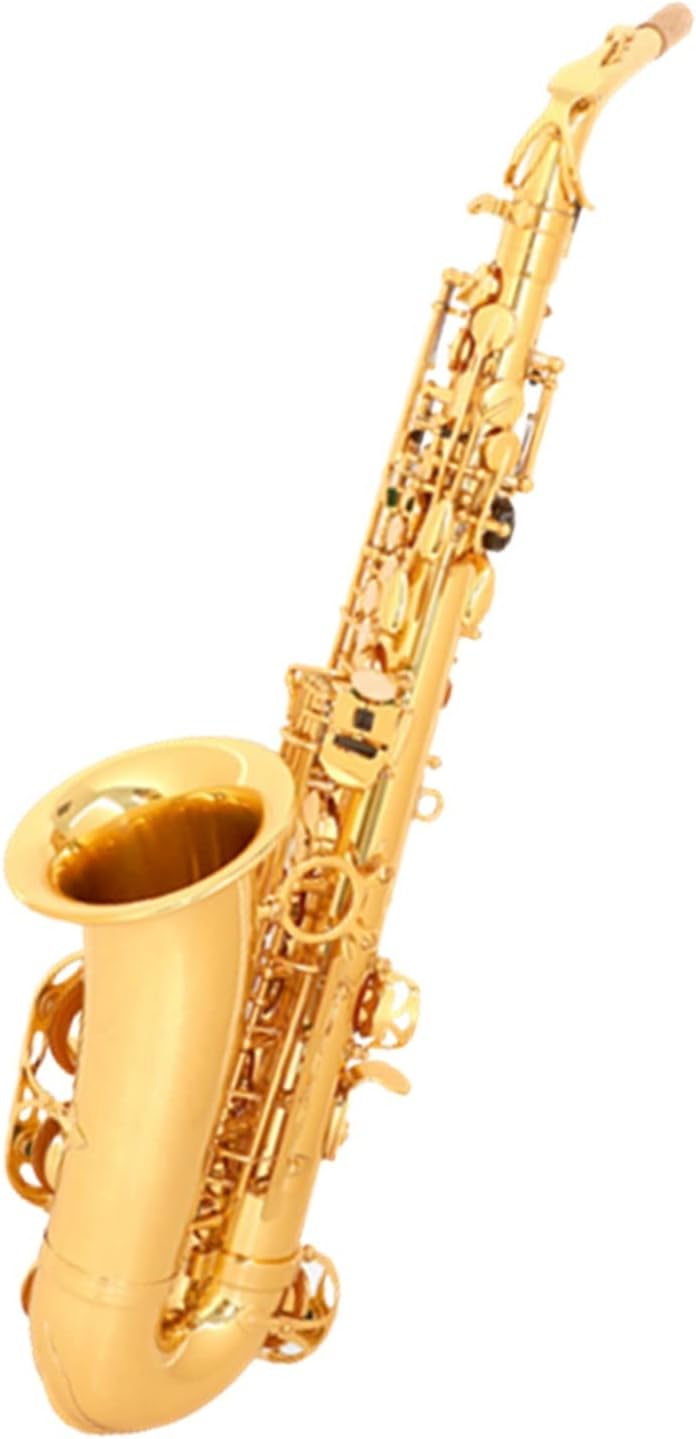E Flat Alto Saxophone Woodwind Instrument for Adult Beginners