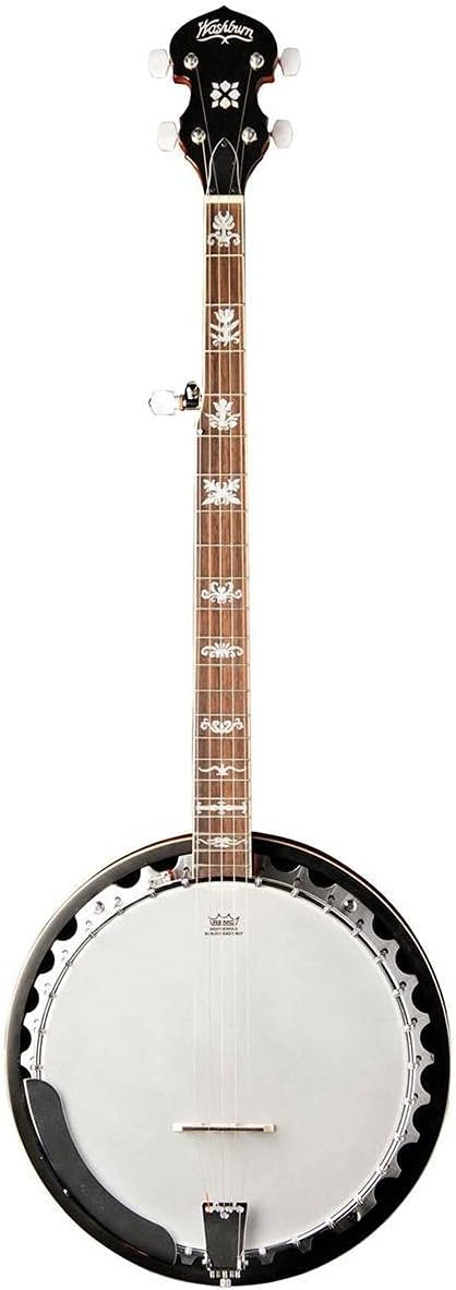 Washburn Americana B10, Banjo