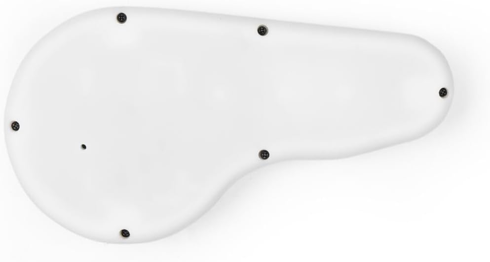 Minichord Synthesizer