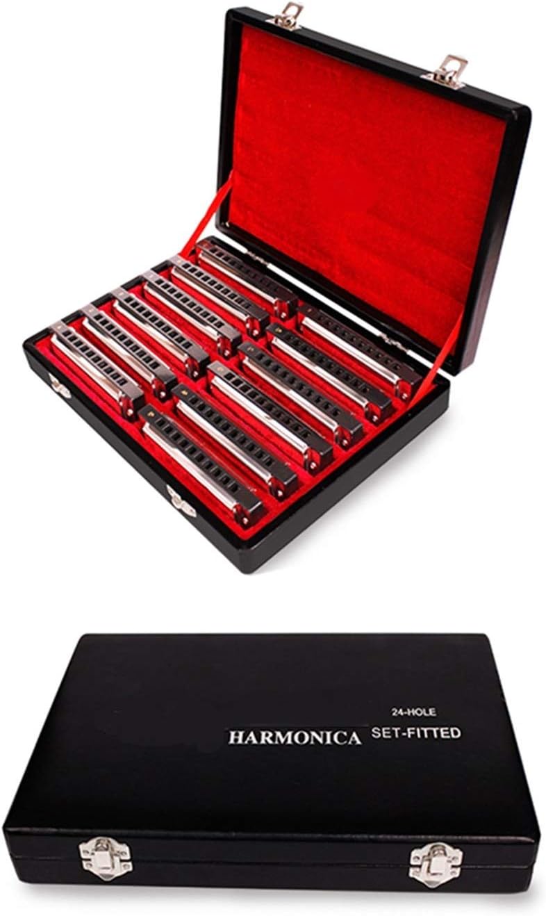 Harmonica 12Pcs/Set 10 Hole 20 Tone Harmonica Senior Diatonic Blues Harp A/B/C/D/E/F/G Key Mouth Organ Sliver