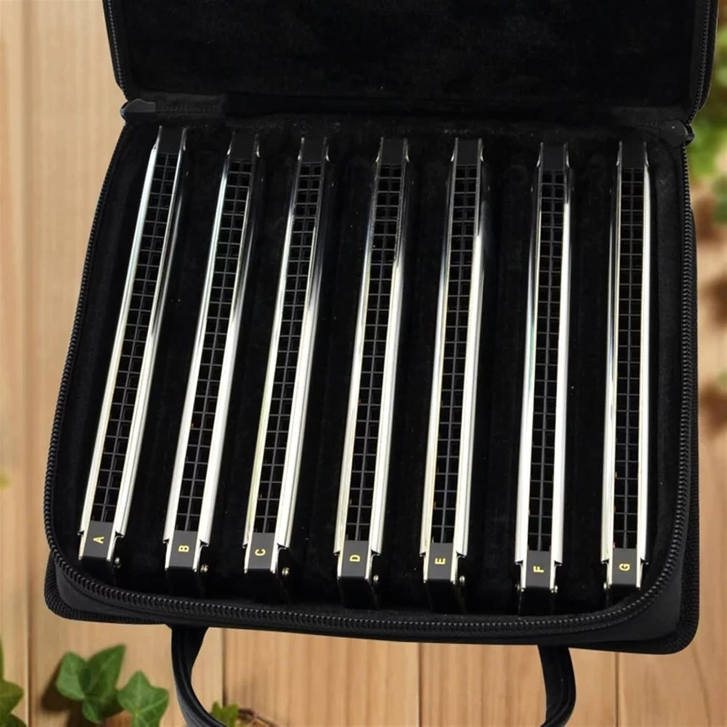 Harmonica Tremolo 24 Holes Harmonica Professional Mouth Organ harp Instrumentos Key C ABS Comb Musical Instruments (Color : Silver Color 12pcs)
