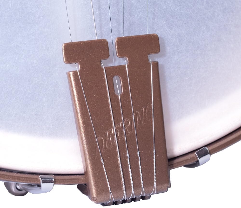 Deering Goodtime Americana Deco 5 String Banjo - 12