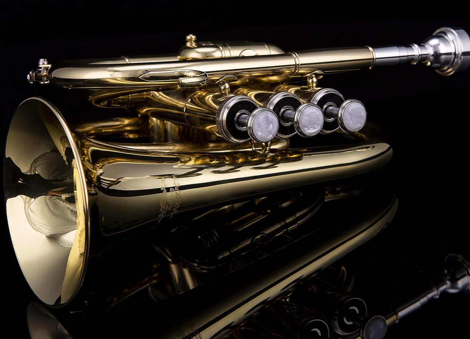 Glory Bb Pocket Trumpet with Case, Cleaning Cloth, Gloves, Gold Lacquer (LAQUER)