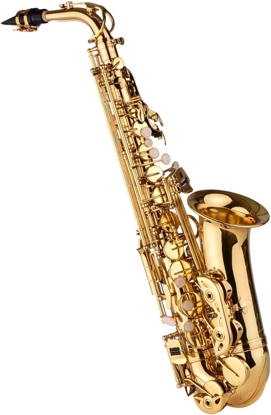 EB Alto Saxophone Brass Lacquered Alto Sax Wind Instrument Beginner Saxophone