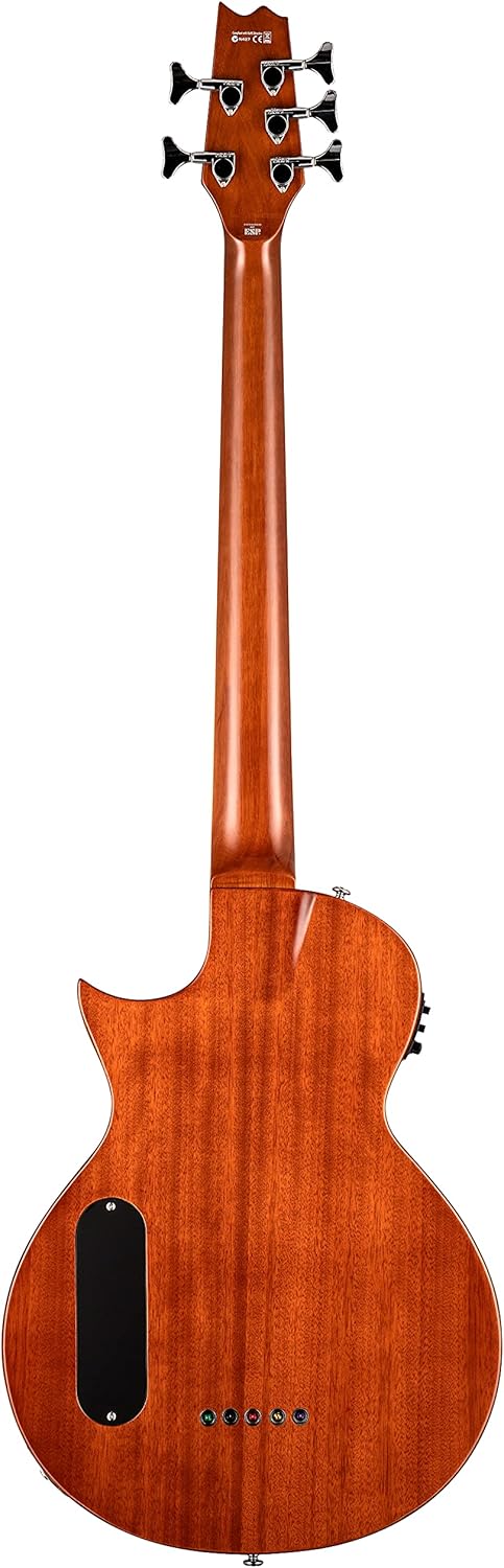 ESP LTD TL-5 Thinline Bass, Natural