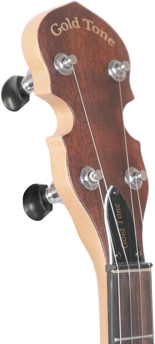 Gold Tone EB-5 Electric Banjo