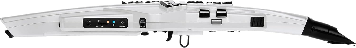 Roland AE-20W Aerophone Digital Saxophone Bundle with Headphones, Instrument Cable, and Austin Bazaar Polishing Cloth