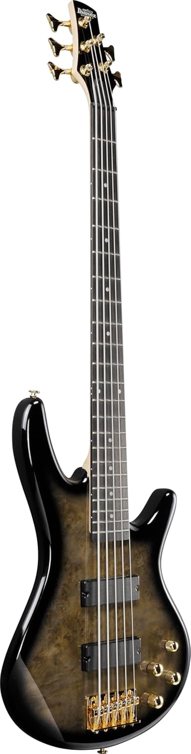 Ibanez GSR205PC GIO 5-String Bass Guitar, Purpleheart Fingerboard, Transparent Pale Black Burst