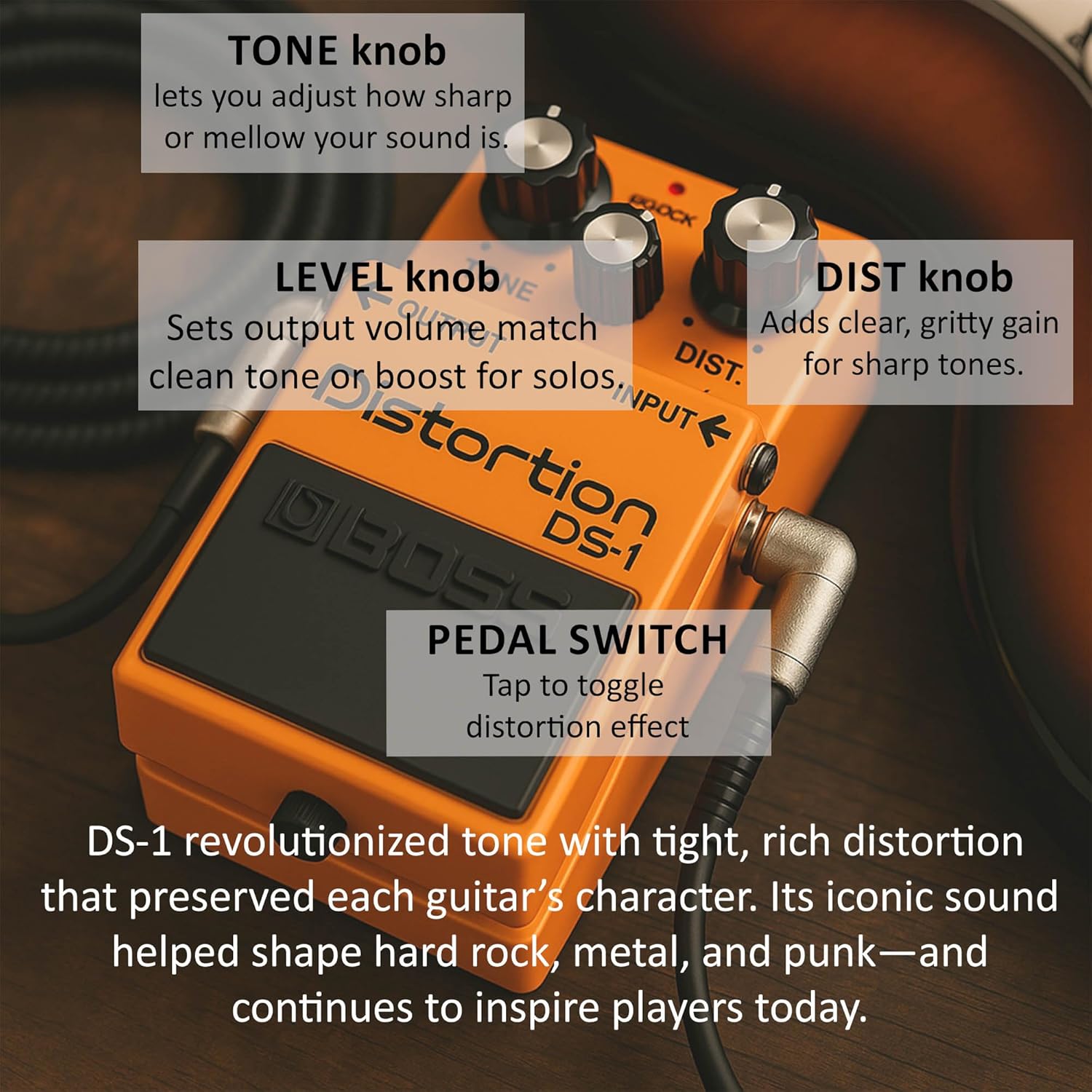Boss DS-1 Distortion Bundle with Gearlux Power Supply, Instrument Cable, Patch Cable, Picks, and Austin Bazaar Polishing Cloth