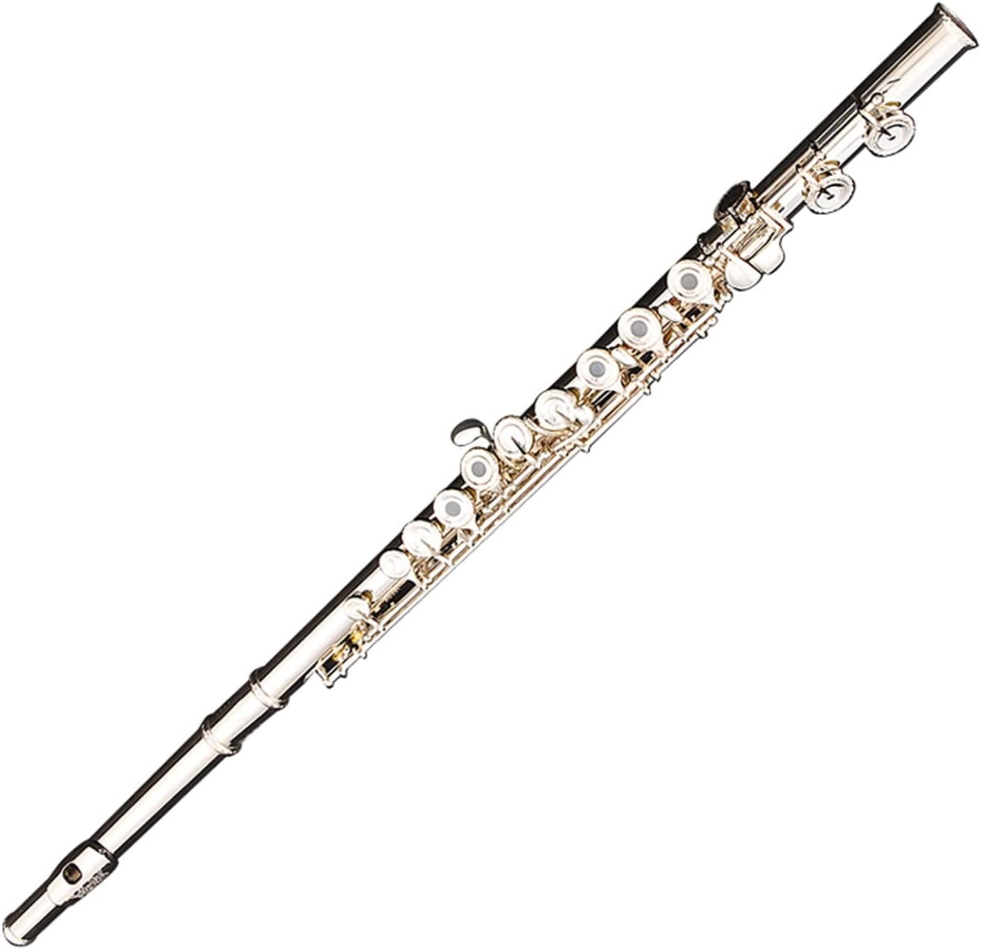 TSTS Flutes Musical Instrument Flute Musical Instrument 16 Open and Closed Holes Dual-Purpose Flute French Silver-Plated Carved Wind Instrument