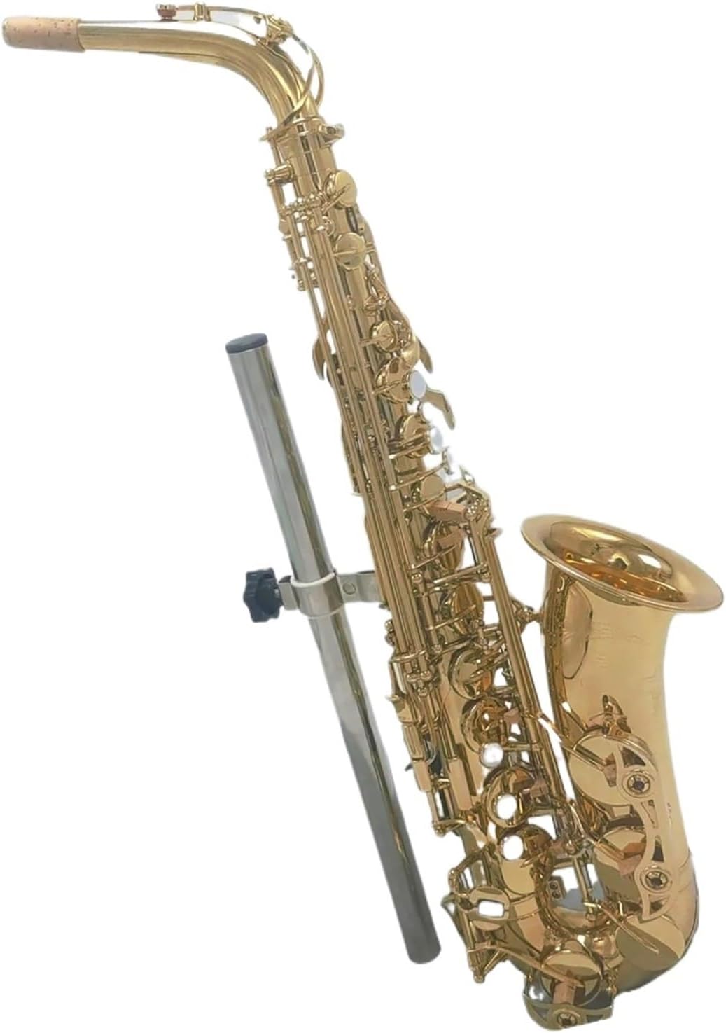 Woodwind Instruments Professional Alto Saxophone Brass Gold-plated Button Alto Sax Musical Instrument (Color : Leather Case)