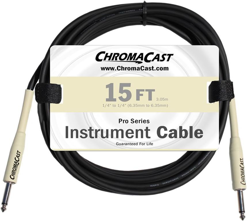 Paul Reed Smith Guitars ST24PT-Kit01 PRS SE Standard 24 Platinum Electric Guitar