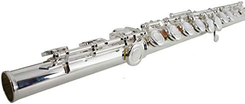 THE WILMINGTON CLOSED HOLE C FLUTE