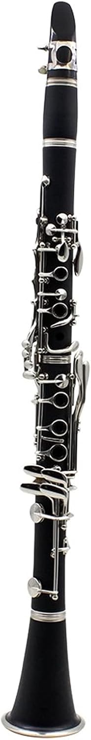 Clarinet Set Clarinet ABS 17 Key BB Flat Soprano Double Barrel Clarinet with Cleaning Cloth Gloves Woodwind Instrument Professional Clarinet (Color : Black)
