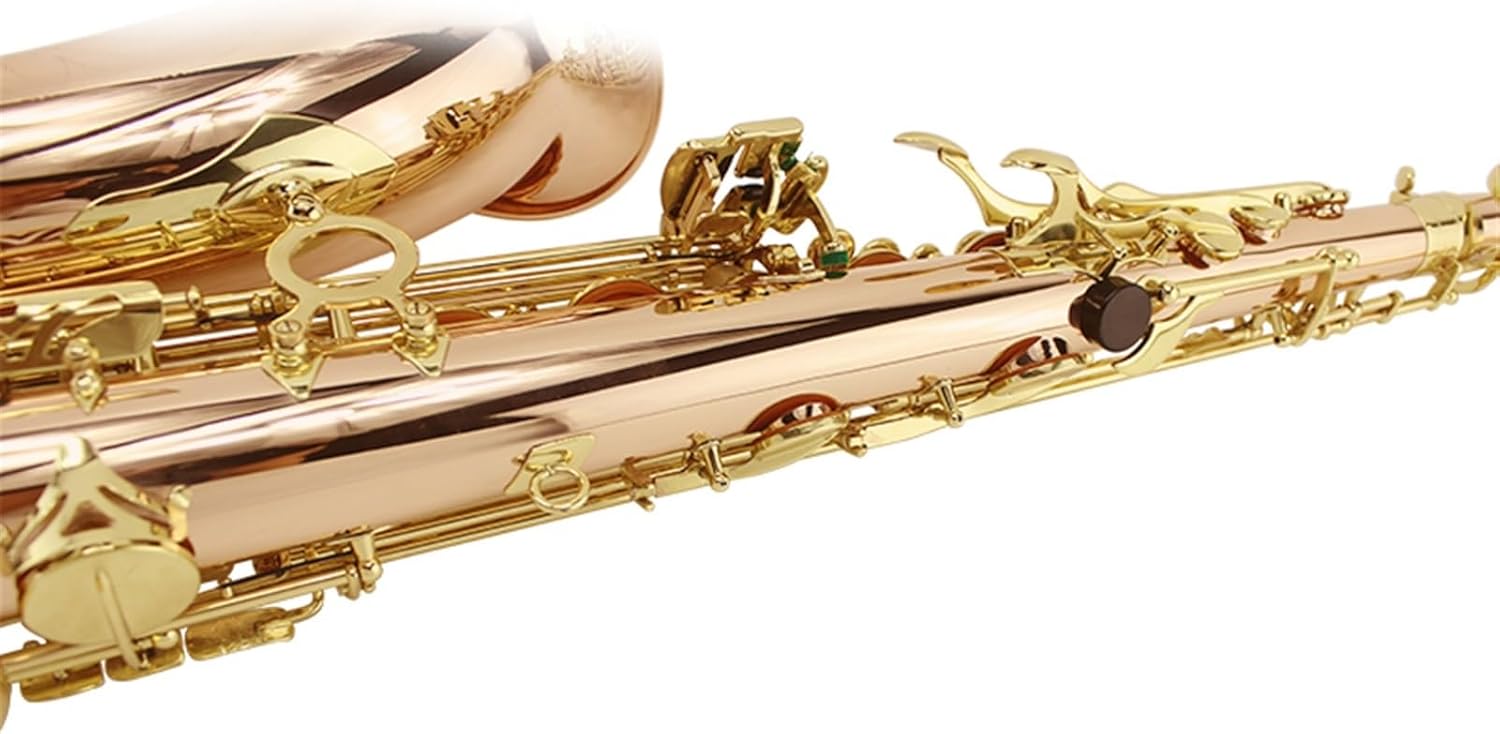 Beginner saxophone Phosphor Bronze Tenor Saxophone/wind Instrument In B Flat For Professional Performance