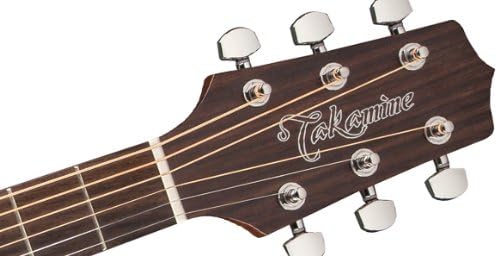Takamine GD20-NS Satin Natural Acoustic Guitar Dreadnought Spruce Top with Bag